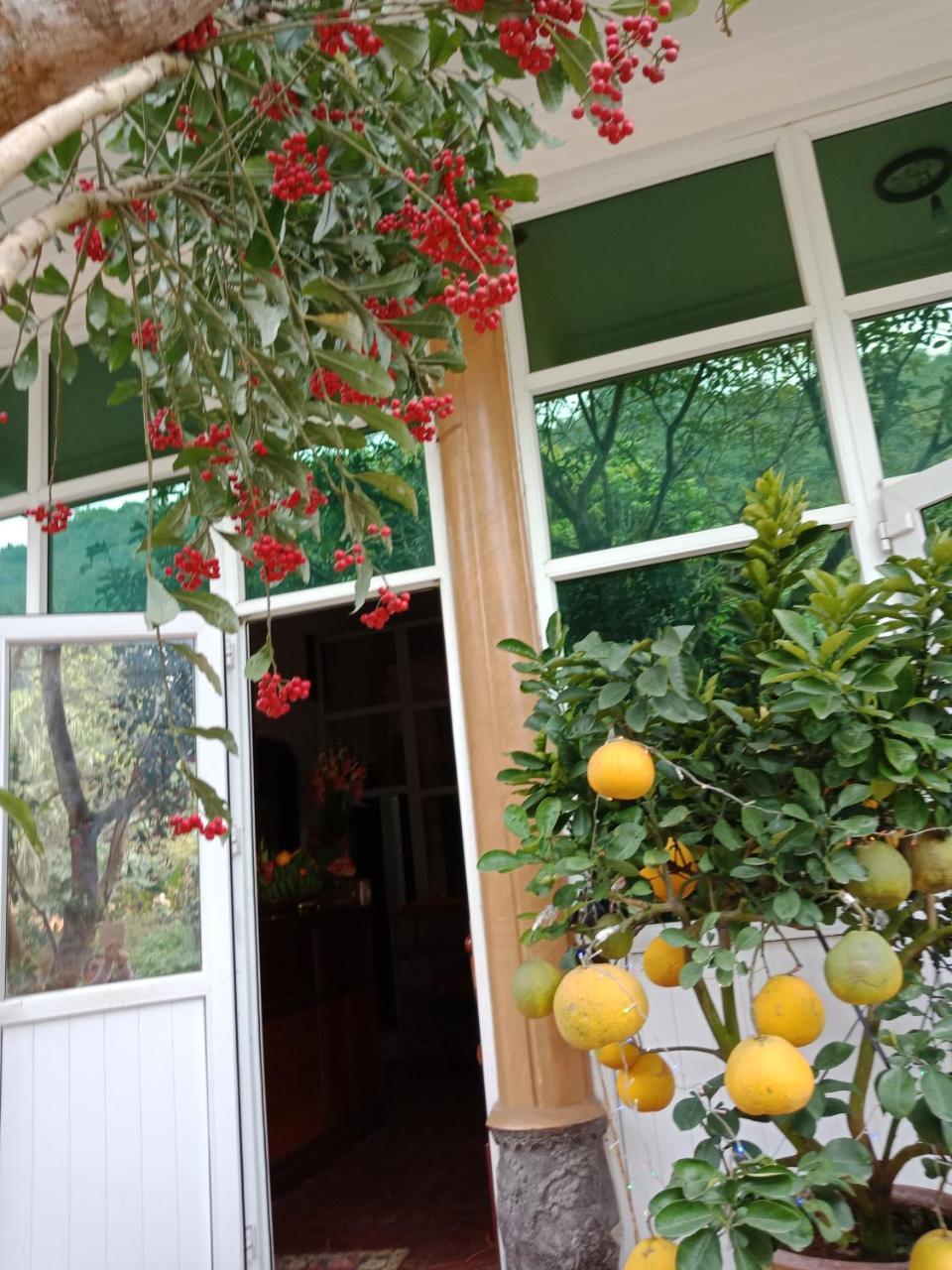 Cuc Phuong Hao Tham Homestay Hotel Nho Quan ภายนอก รูปภาพ
